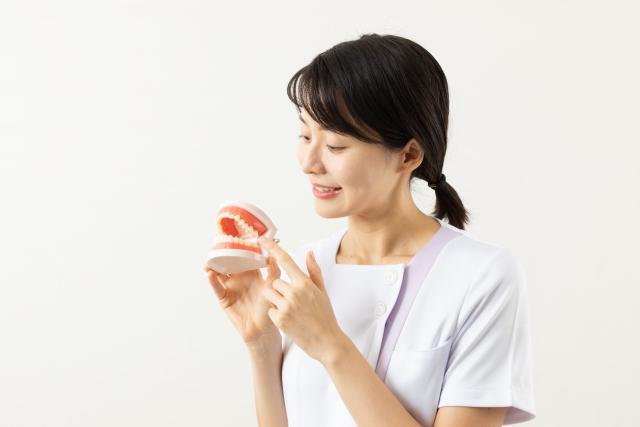 歯並びや噛み合わせは遺伝する?